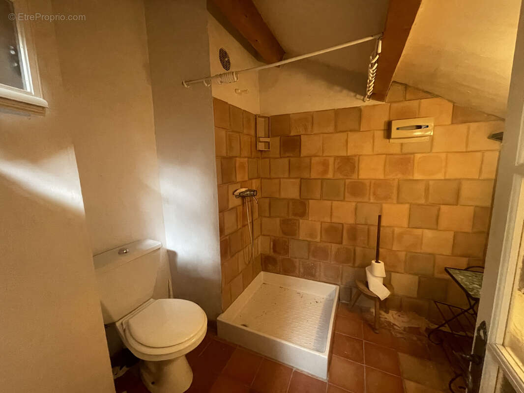 Exclusivite / vaison 10km / spacieuse maison de village avec cour interieure et terrasses - photo 27