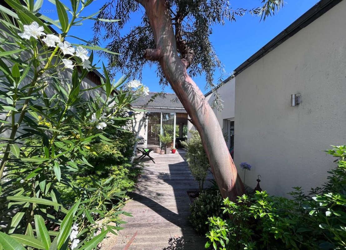 Maison à BRISSAC-QUINCE