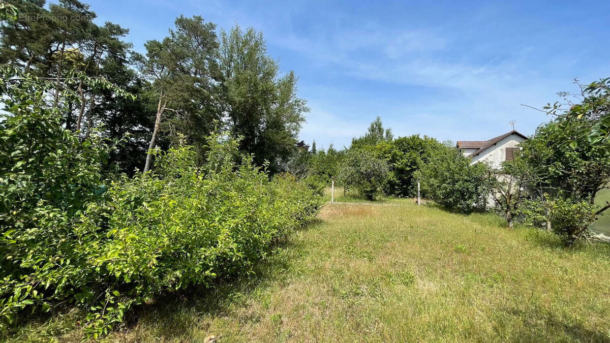 Maison à ROMORANTIN-LANTHENAY