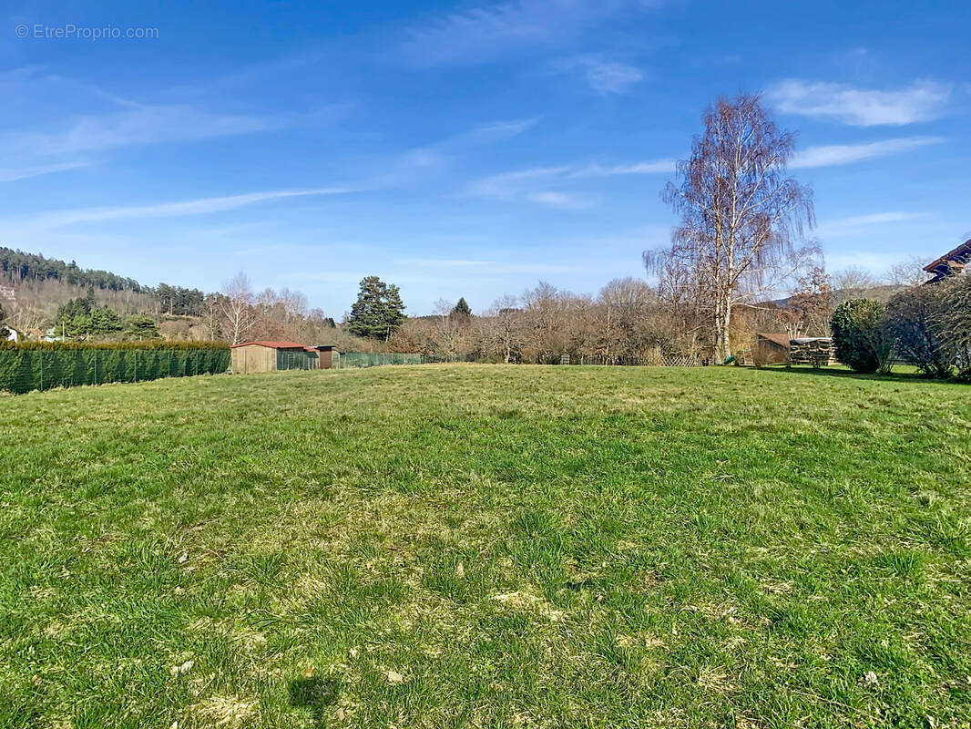 Terrain à PLAINE