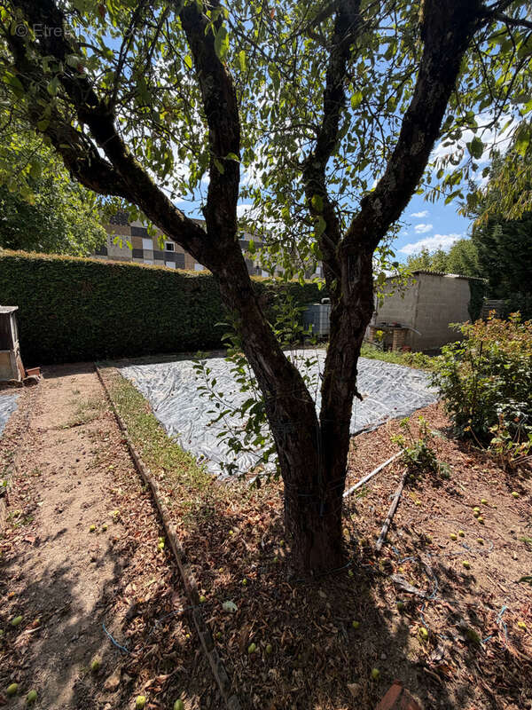 Maison elevee sur sous-sol - photo 2