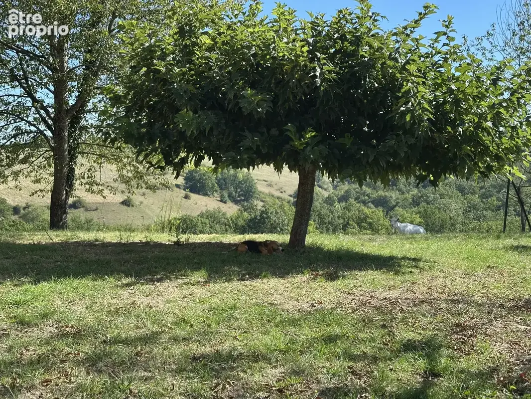 Rare fermeavec 43 ha sans voisins - photo 15
