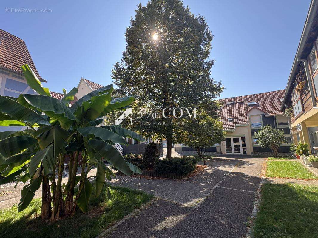 Appartement à MOMMENHEIM