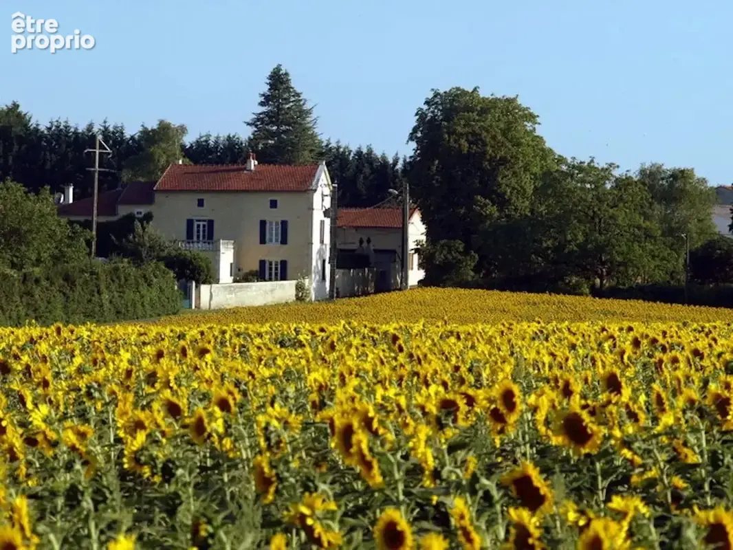 Superbe manoir rénové avec 4 gîtes - photo 16