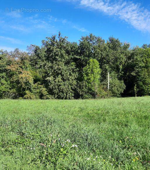 Terrain à ESCOUTOUX