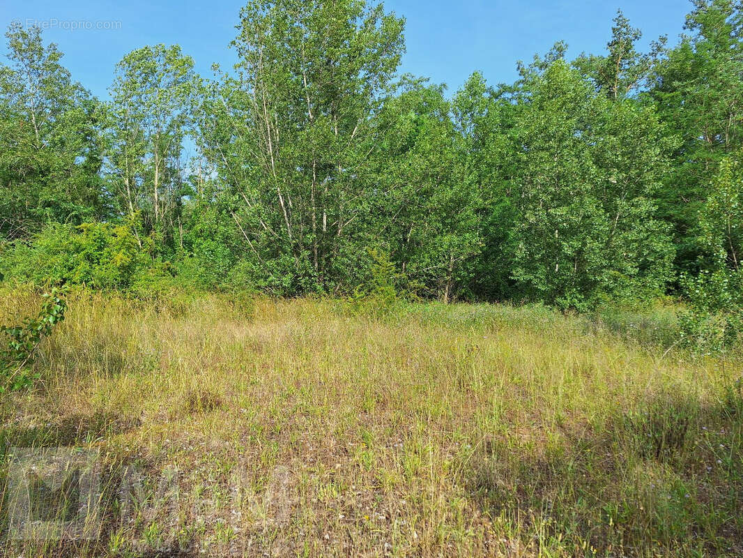 Grand Terrain Constructible - photo 2