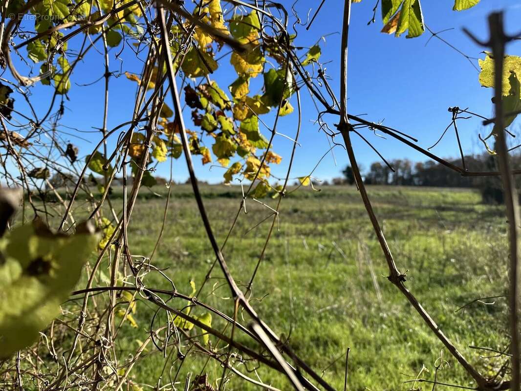 Maison à AUBETERRE-SUR-DRONNE