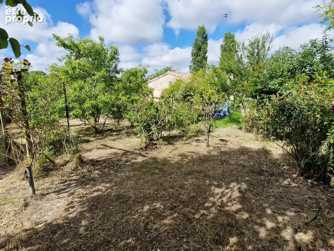 Dpt Charente Maritime (17), à vendre TONNAY BOUTONNE maison P6 de 146 m² - Terrain de 515,00 m² - photo 6