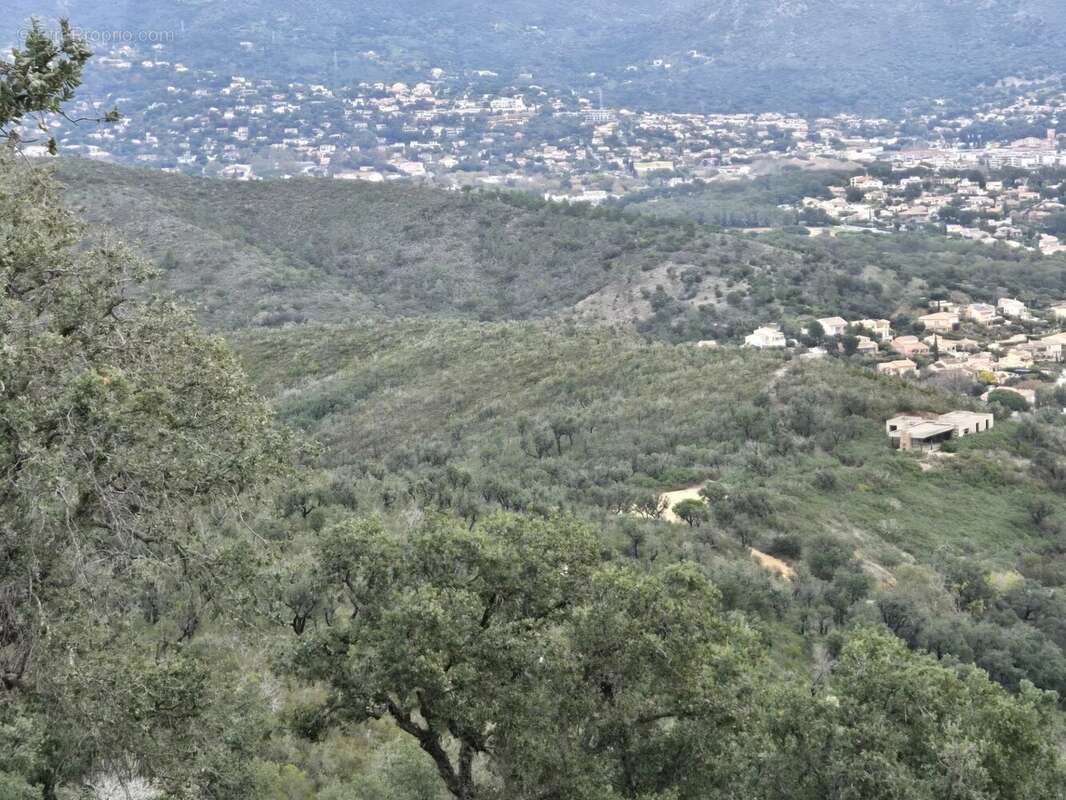 Terrain à BORMES-LES-MIMOSAS