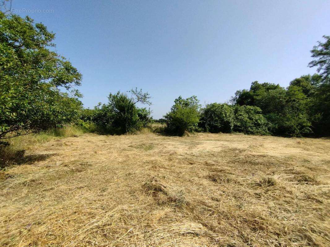Terrain à CASTELNAU-MONTRATIER