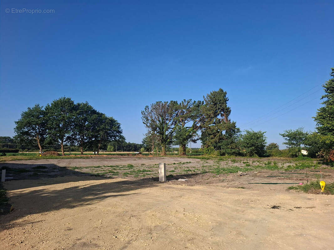 Terrain Saint Jean De Marsacq 1046 m² - photo 2
