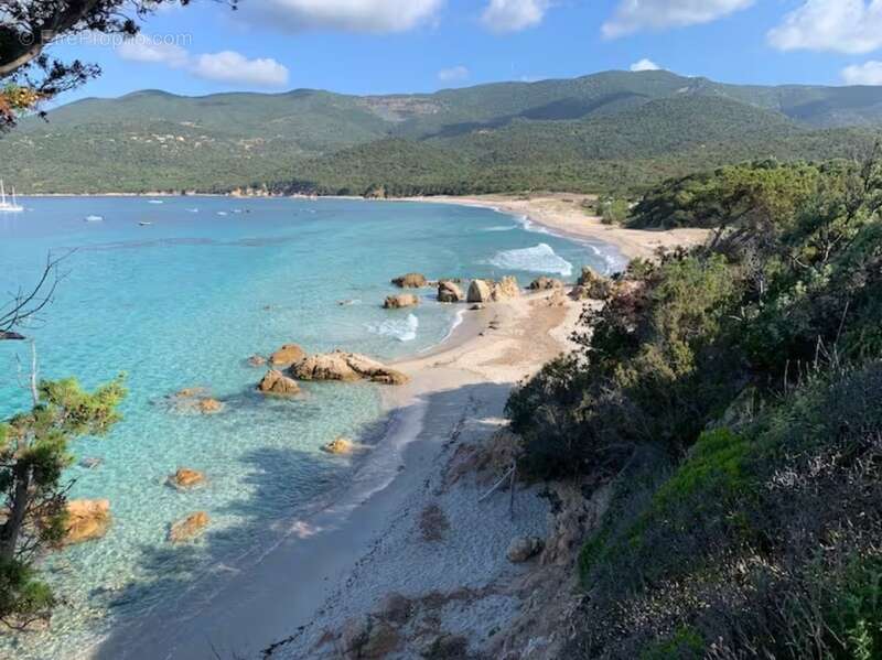 Très beau Duplex, 2 pièces avec vue mer/montagne, en Corse du Sud (20) - photo 5