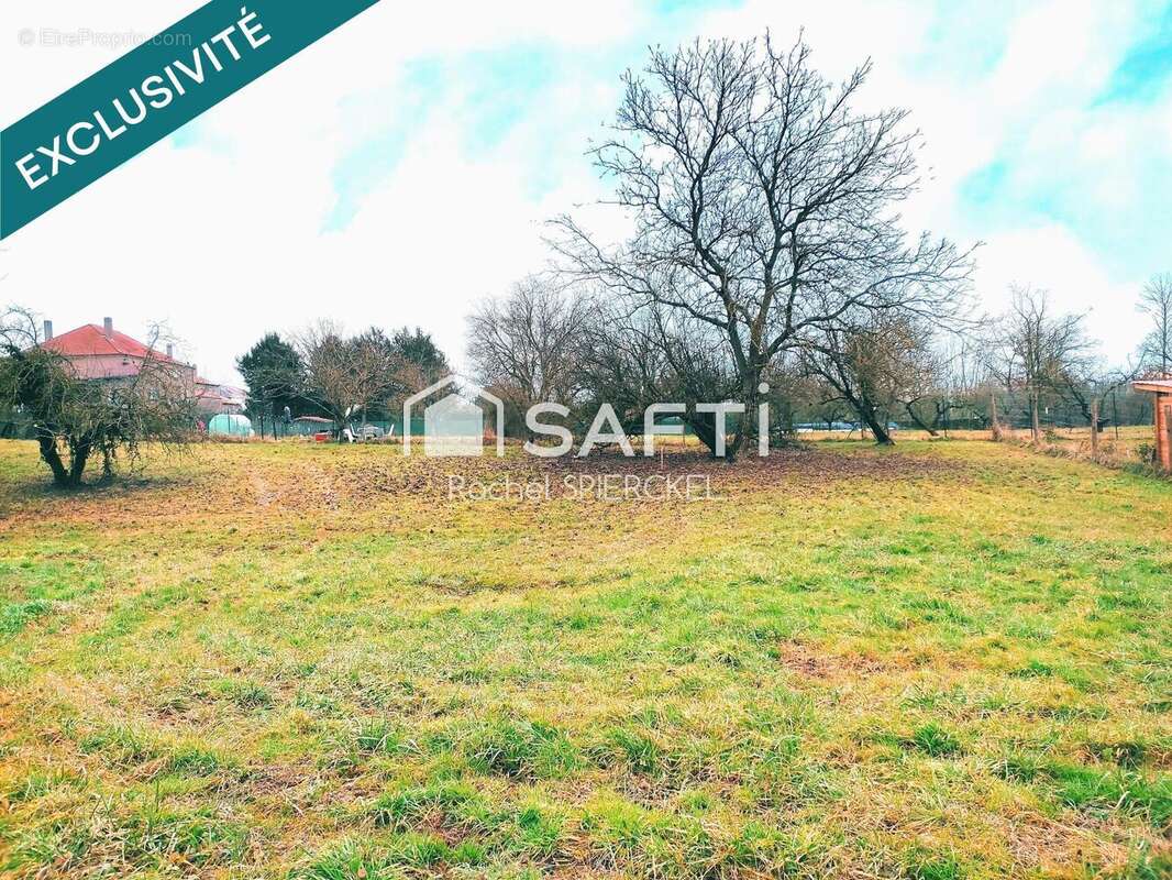 Photo 2 - Terrain à DELME