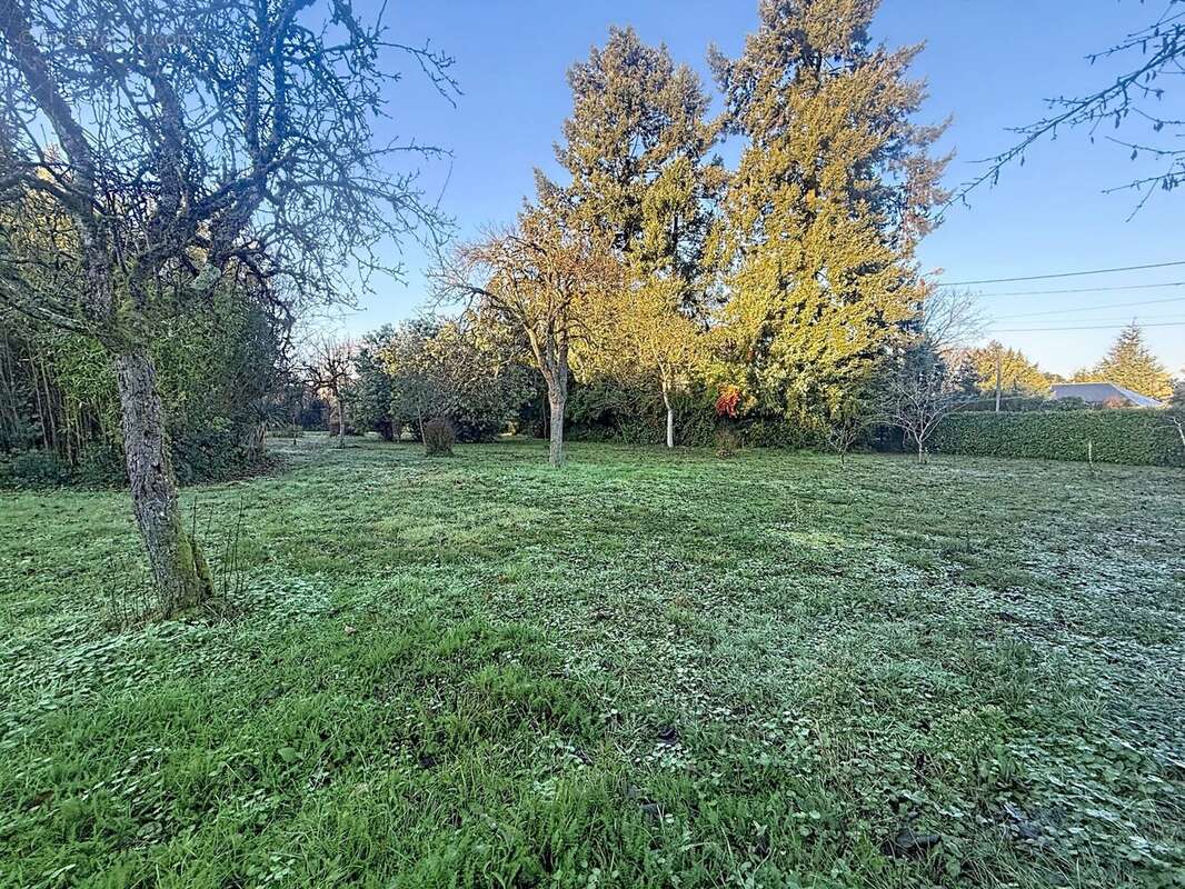 Terrain à SAINT-AVERTIN