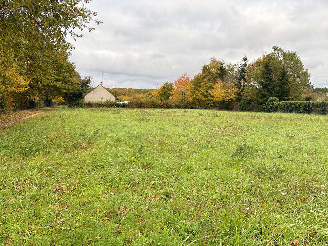 Terrain à CHAILLES
