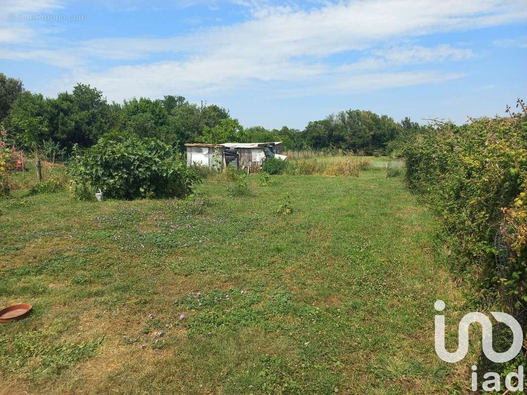 Photo 5 - Maison à LE CHATEAU-D'OLERON