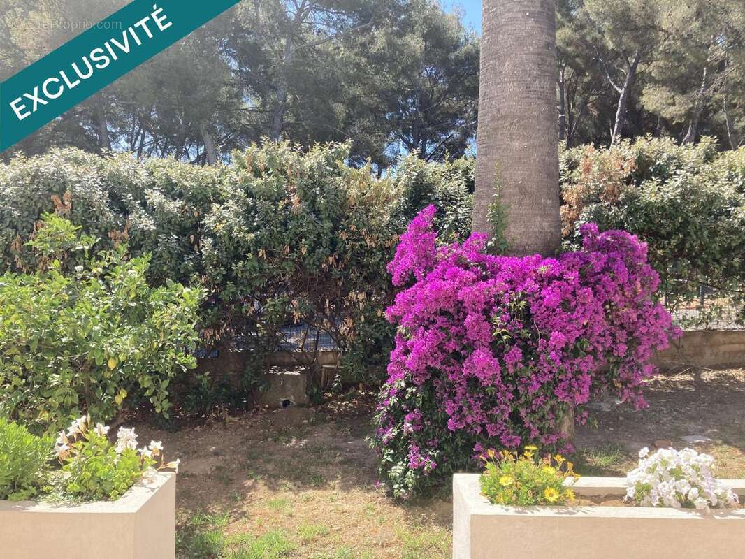 Photo 2 - Appartement à SANARY-SUR-MER