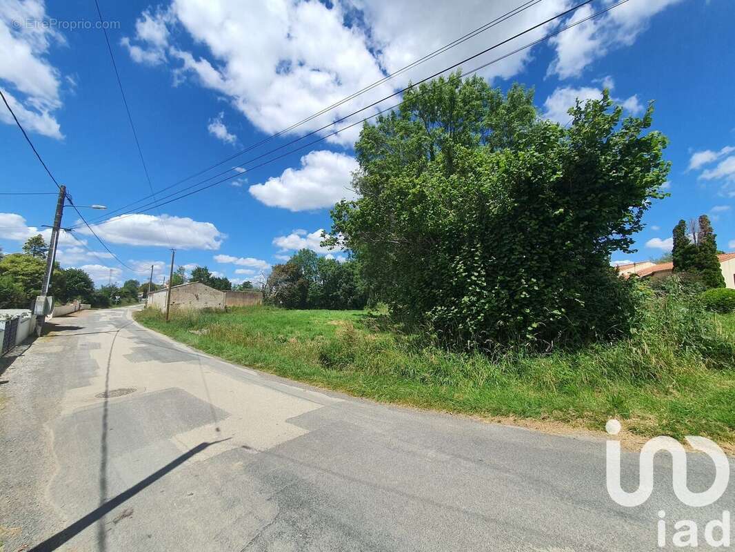 Photo 8 - Terrain à LE CHAMP-SAINT-PERE