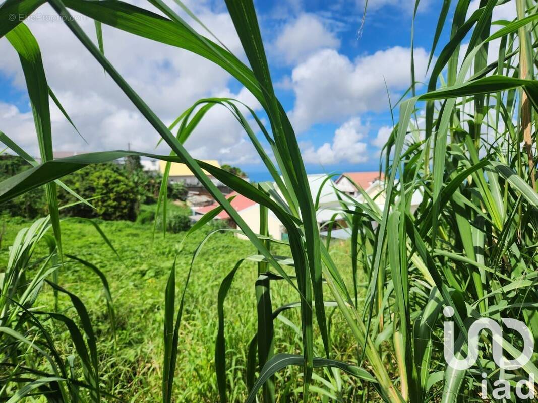 Photo 1 - Terrain à LE TAMPON