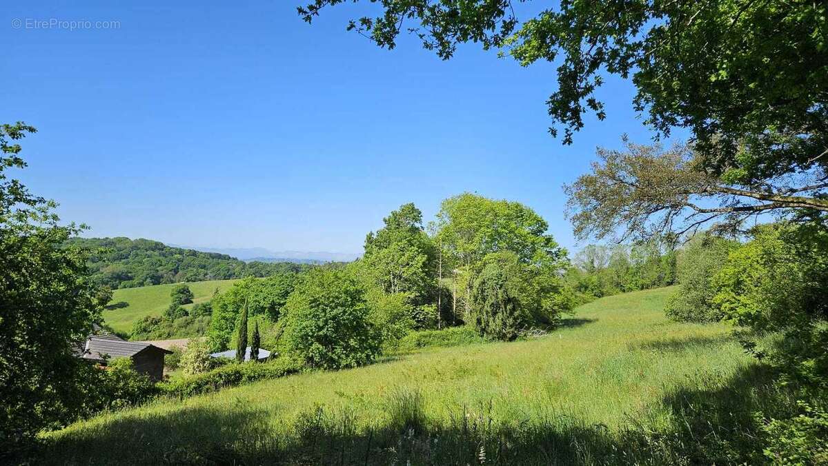 Photo-2025/052739-1-5 - Terrain à BURGARONNE