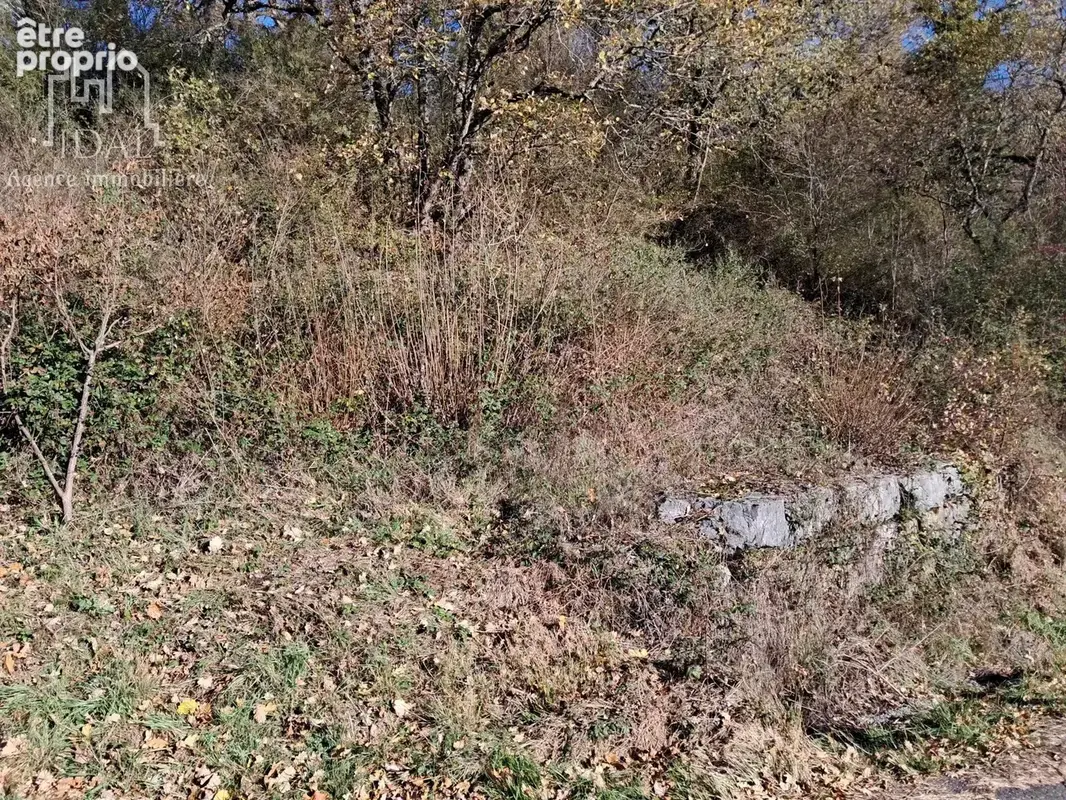 Vente Terrain La canourgue(48500) 21 000ï¿œ - photo 7