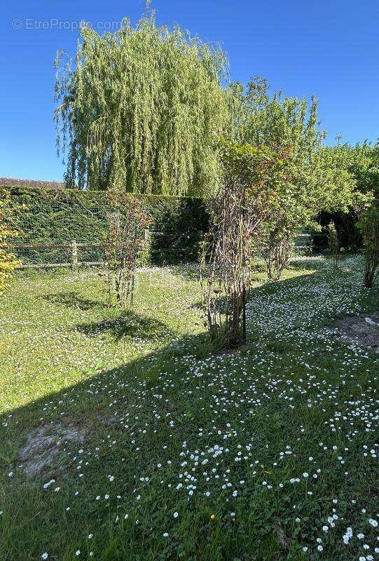 Maison de caractère avec jardin arboré – Un véritable coup de cœur aux portes de Fontainebleau et Moret sur Loing - photo 3