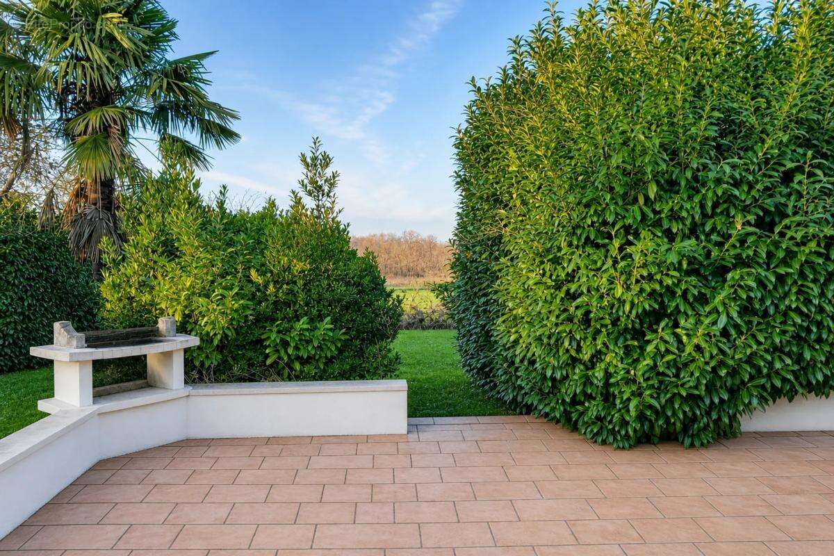 Maison de 5 pièces de 169 m² à Montmérac - photo 34