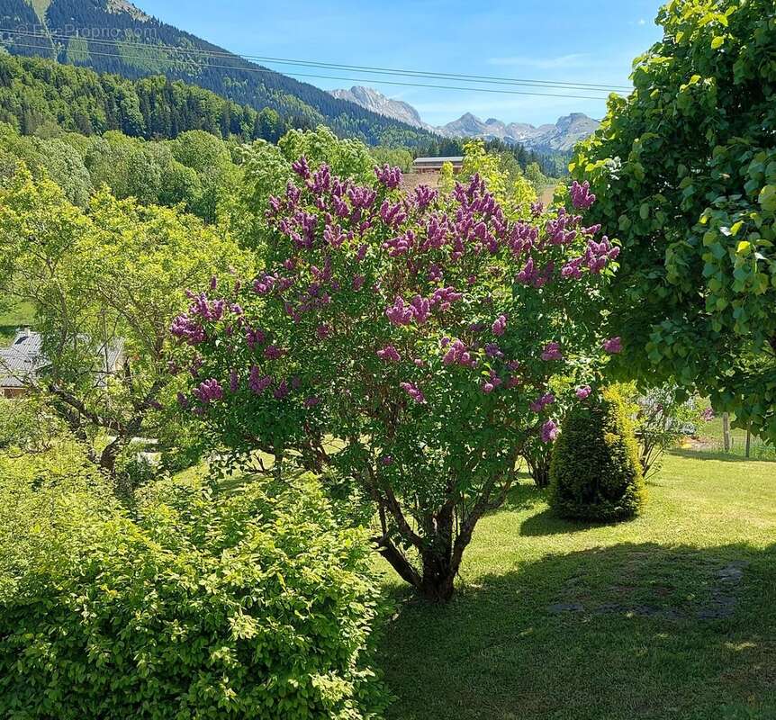 Maison à VILLARD-DE-LANS