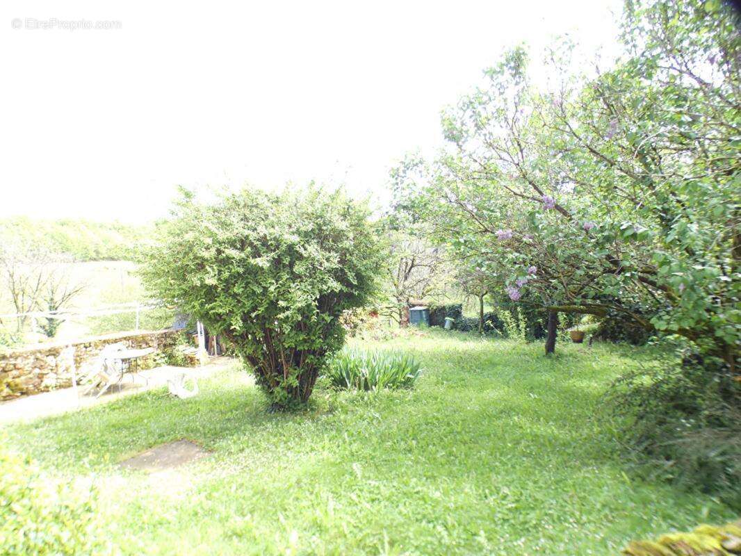 Maison à TERRASSON-LAVILLEDIEU