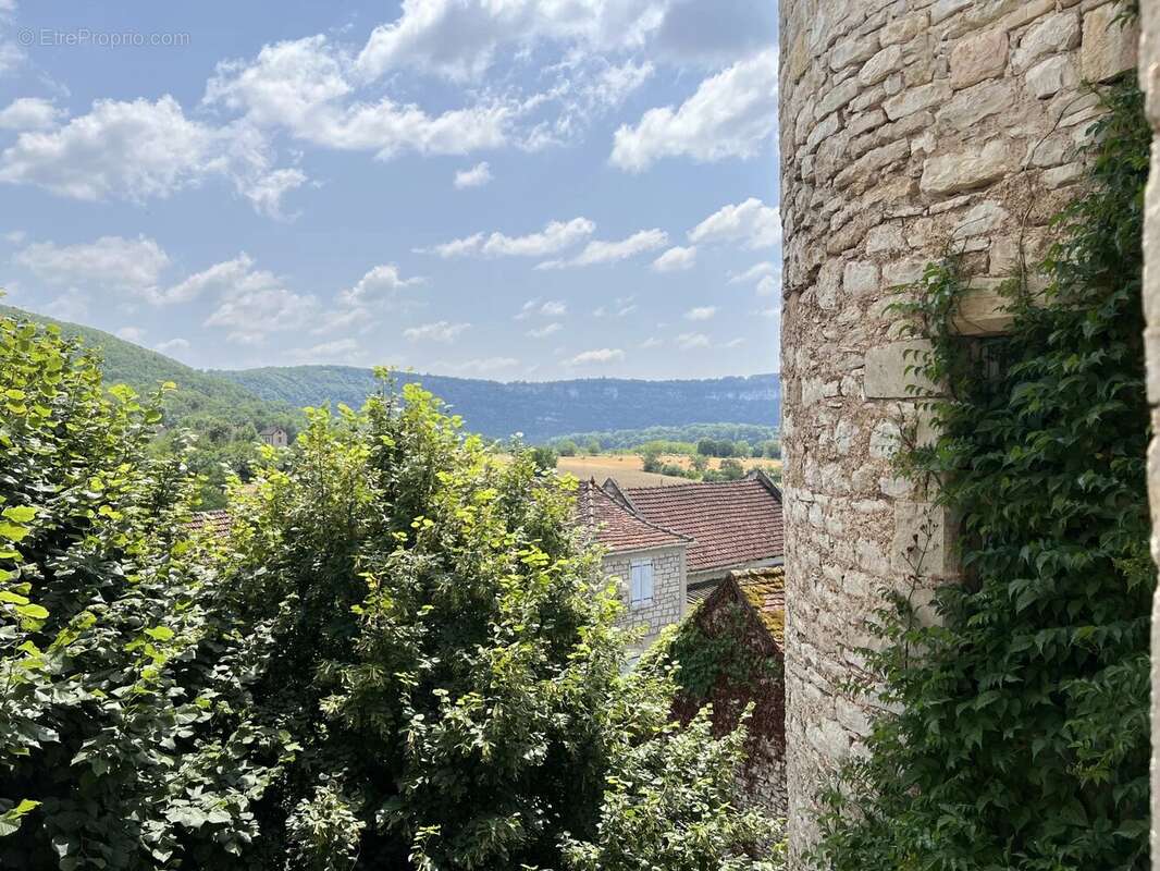 Secteur de la vallée du Lot : Superbe château offrant une vue imprenable sur le Lot - photo 18
