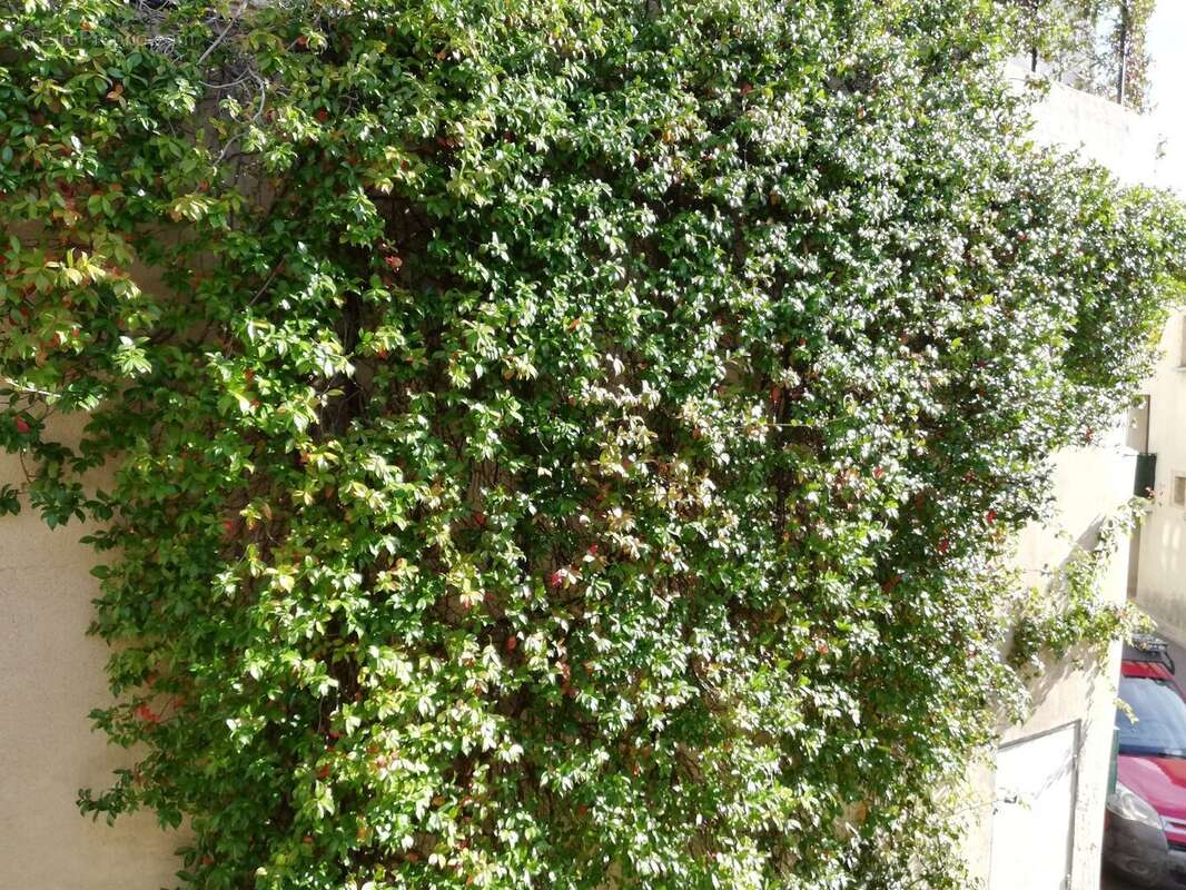 Maison à SAINT-GEORGES-D&#039;ORQUES