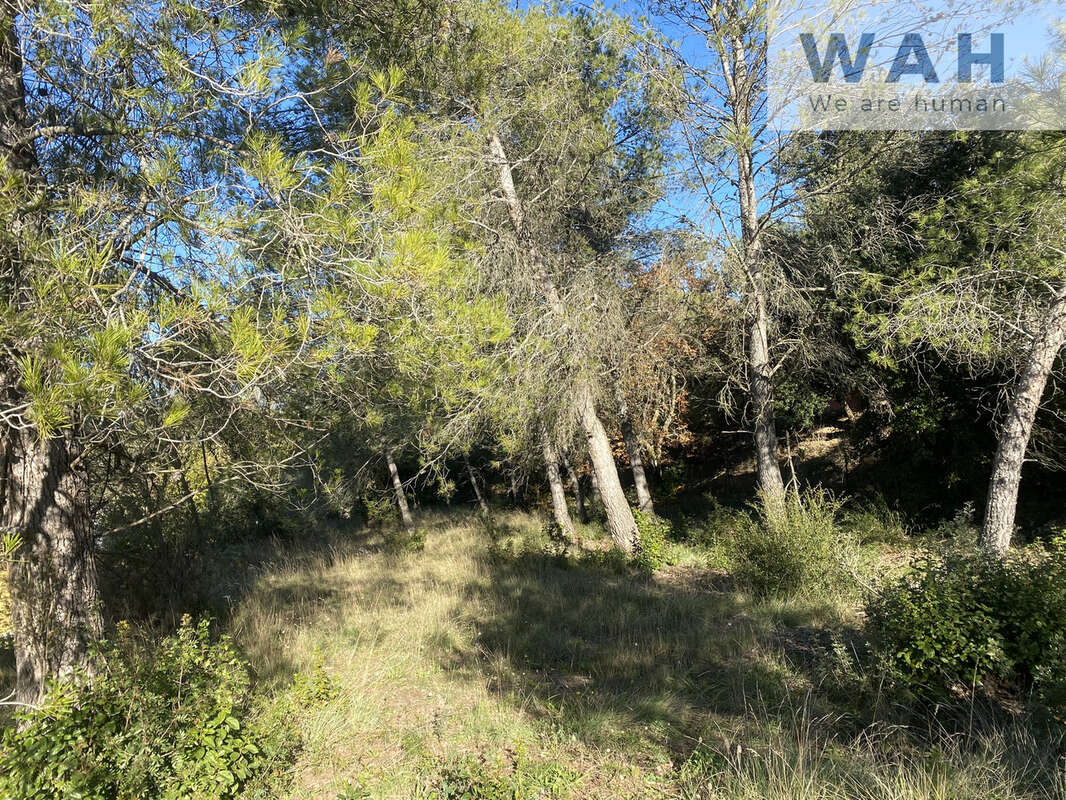 TERRAIN constructible de 1080 m2 30260 Crespian - photo 4