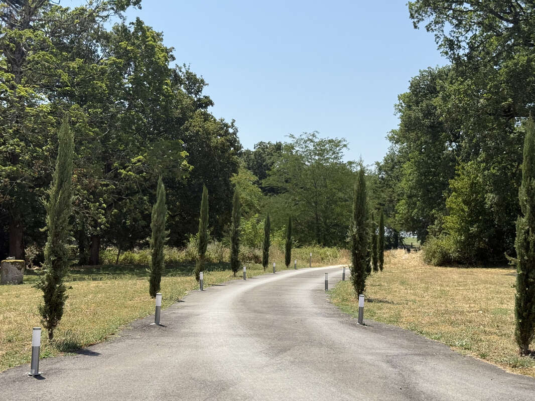 Domaine d'Exception de 2,5 Hectares   Maison de Prestige, Gîte et Dépendances   La Romieu (Gers) - photo 2