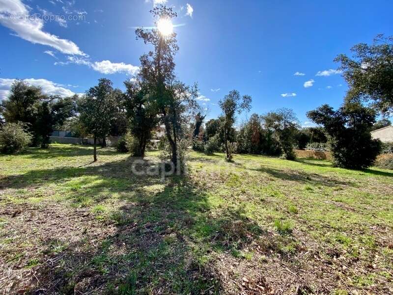 Terrain à UZES