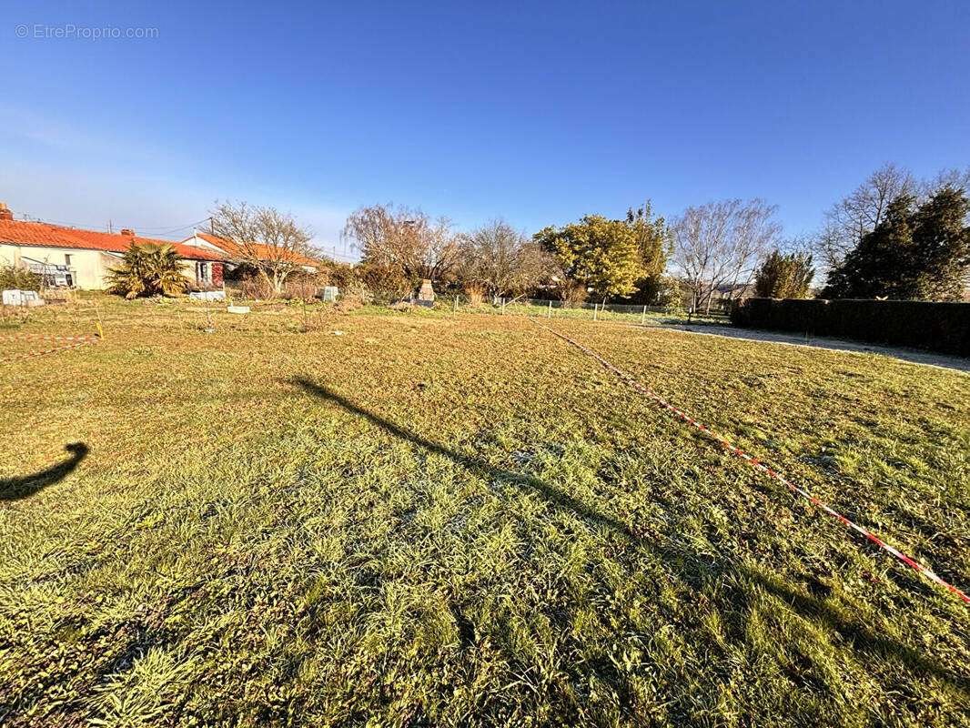 Terrain à SAINT-JULIEN-DE-CONCELLES