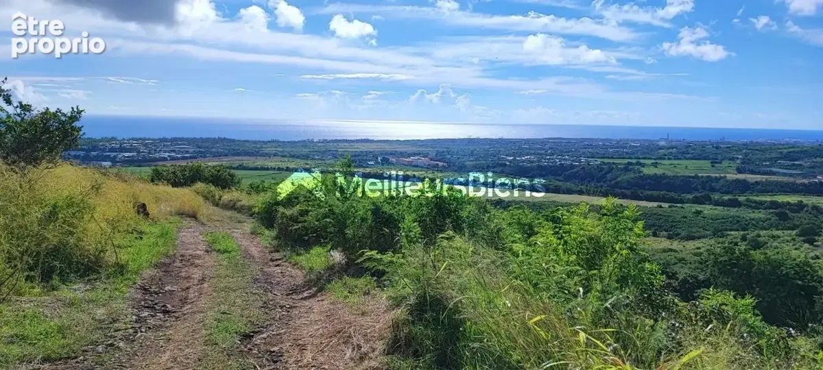 Photo Terrain à Saint-Paul au prix de 430 000€