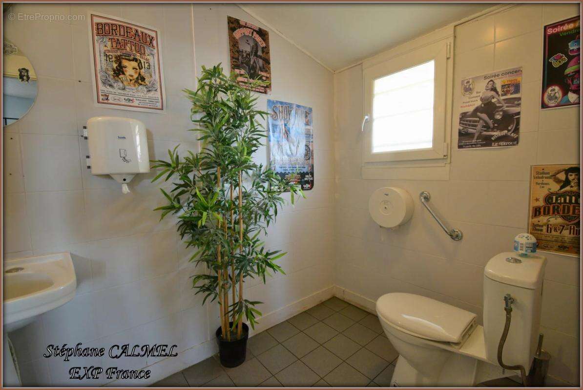 Commerce à LE BUISSON-DE-CADOUIN