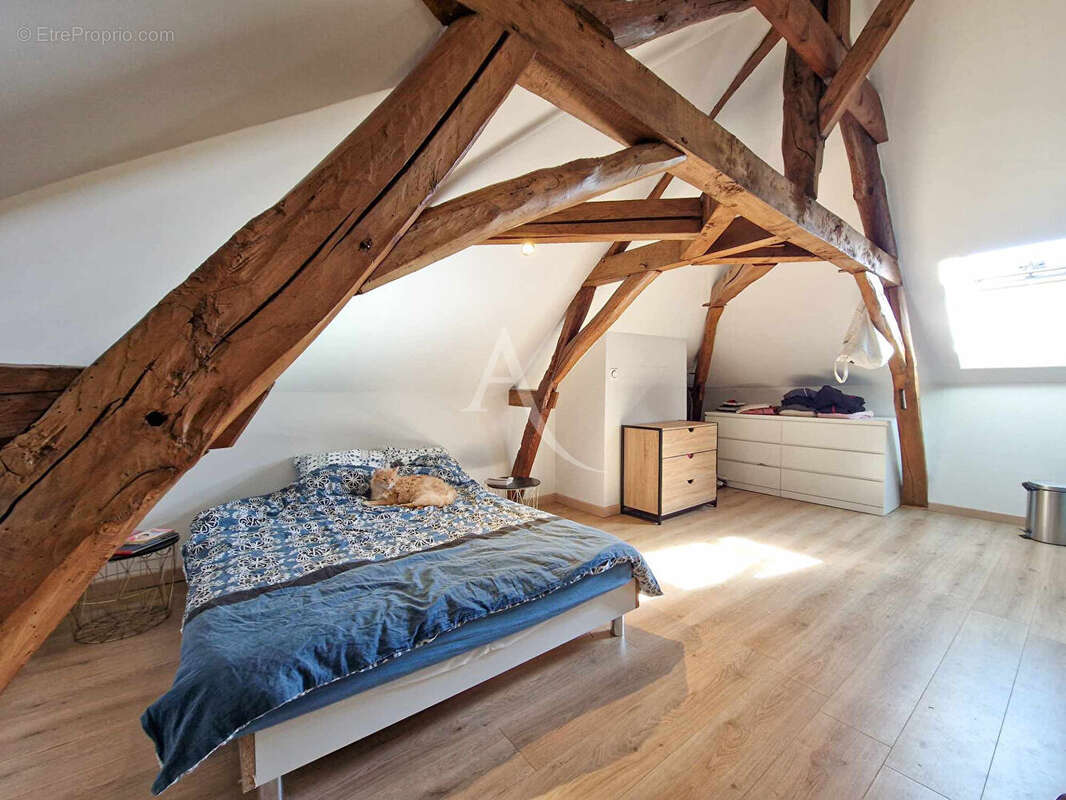 Maison à MONTREUIL-BELLAY