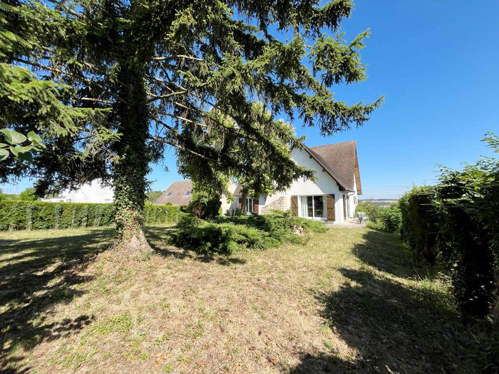 Maison à VILLENEUVE-SUR-YONNE