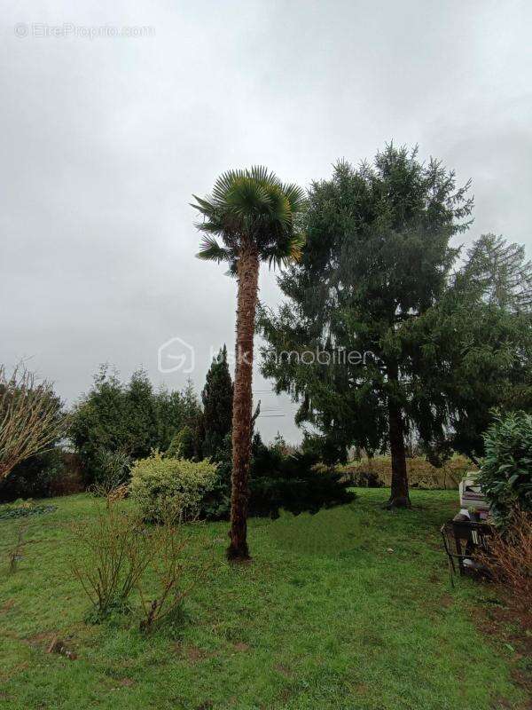 Maison à LE BUISSON-DE-CADOUIN
