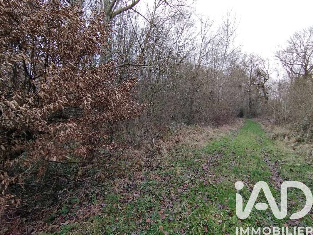 Photo 3 - Terrain à VEZILLY