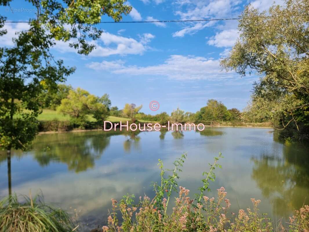 Maison à SAINT-MARTIN-DE-VILLEREAL