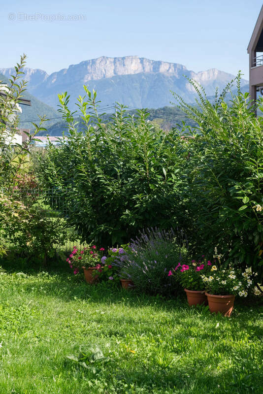 Appartement à SAINT-JORIOZ