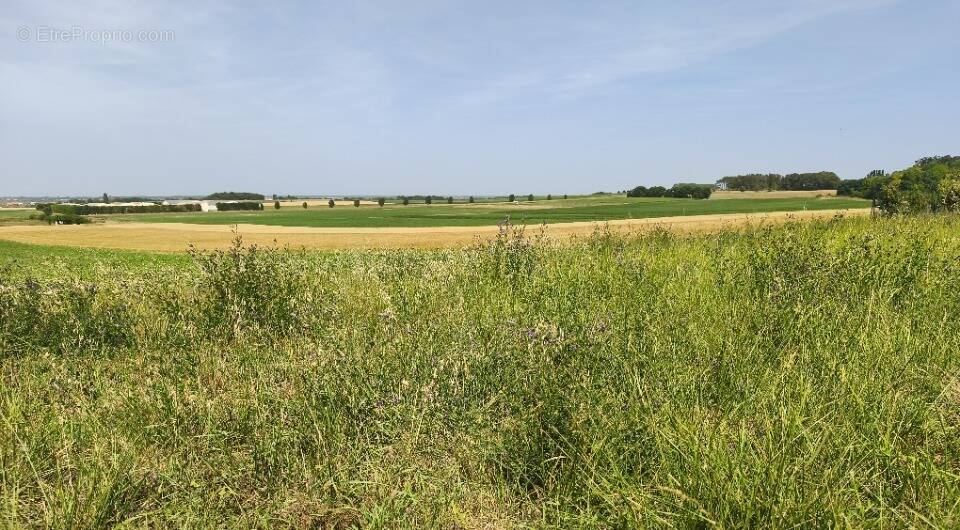Terrain à ETAULES
