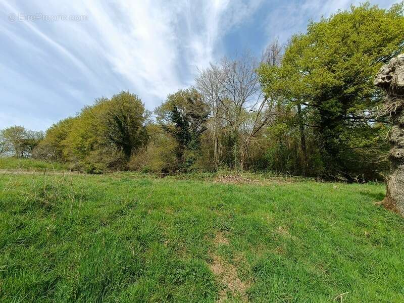  Écolieu en centre bourg - 2,4 ha - Scaër - photo 17