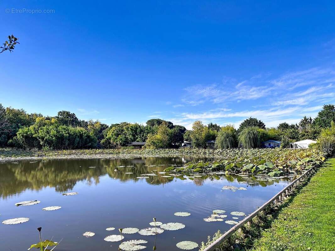 Photo 5 - Maison à SAINT-CYR-EN-TALMONDAIS