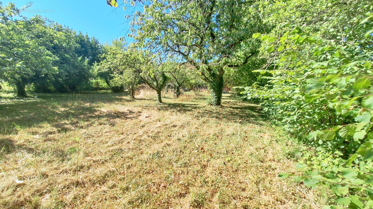 Photo 1 - Terrain à SAINT-GERMAIN-DU-BOIS