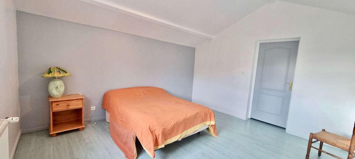 MUR-SUR-ALLIER / Maison à vendre avec 4 chambres, piscine et  grand garage ! - photo 12