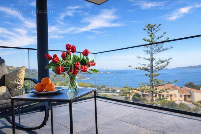 Appartement à PIETROSELLA