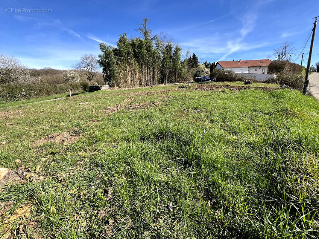 Terrain à MARNAY